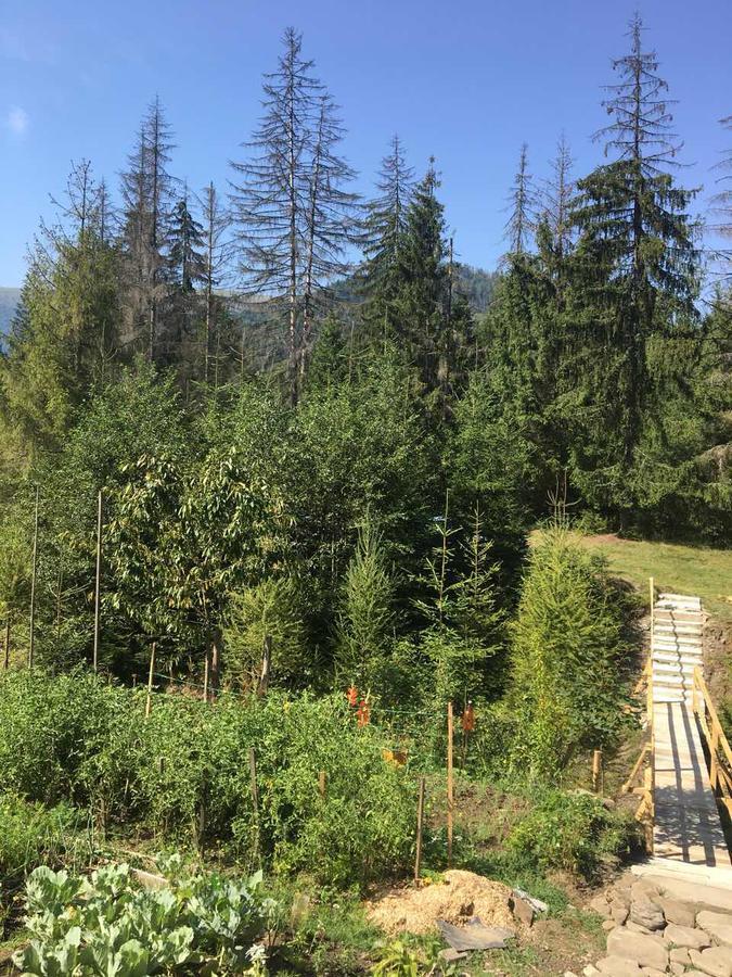 Wooddream Hotell Volovets Exteriör bild