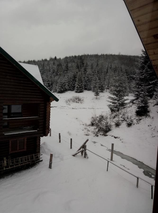 Wooddream Hotell Volovets Exteriör bild